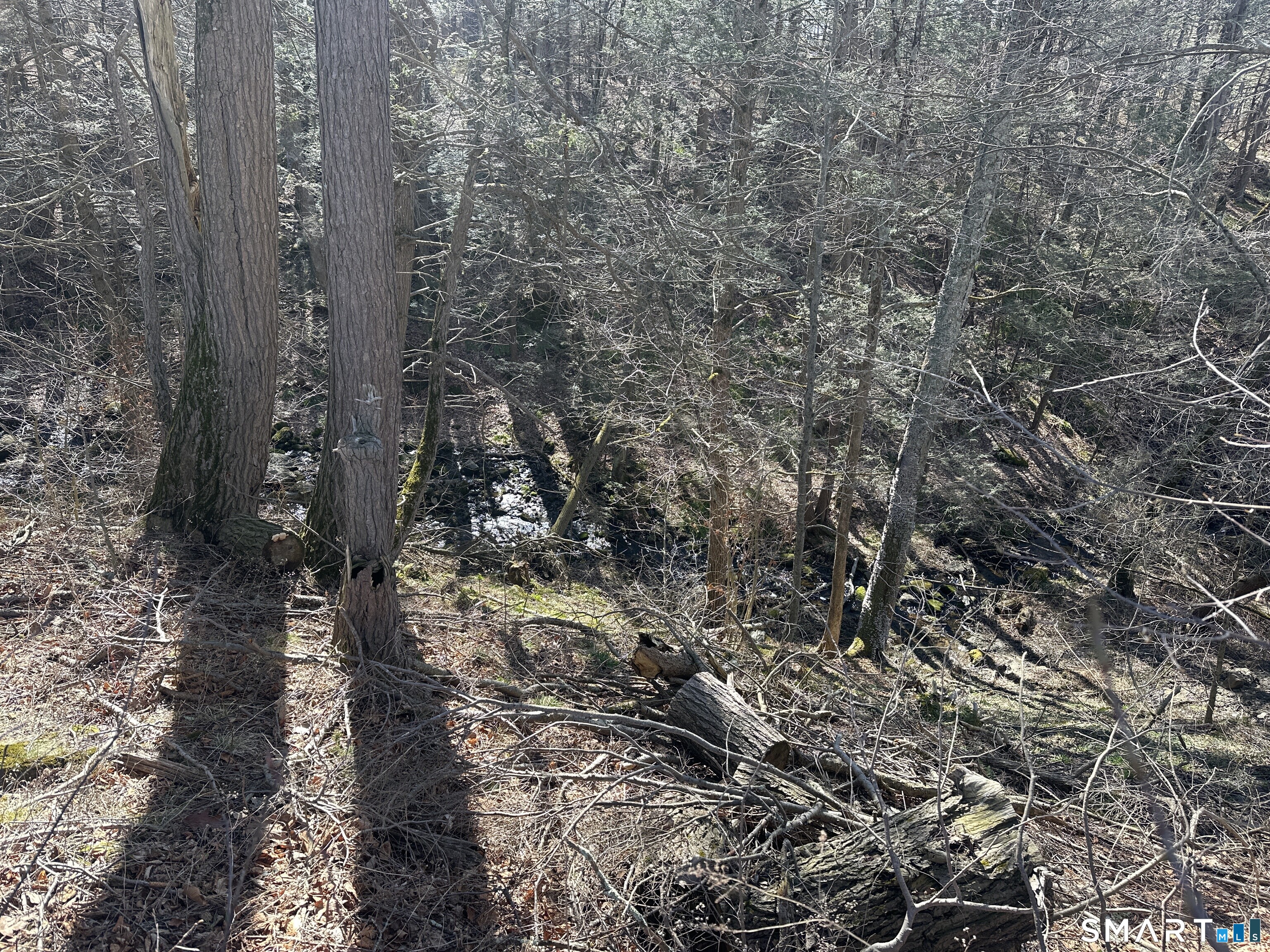 0 Newcomb Road Litchfield, CT 06759 - Photo 8 of 10