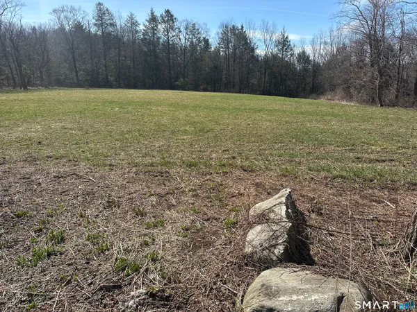 a view of an outdoor space and a yard