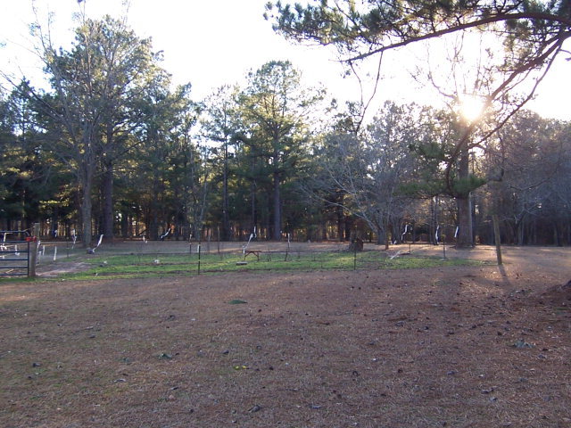 69 Lentz Road Macon, GA 31220 - Photo 2 of 12 a view of dirt yard
