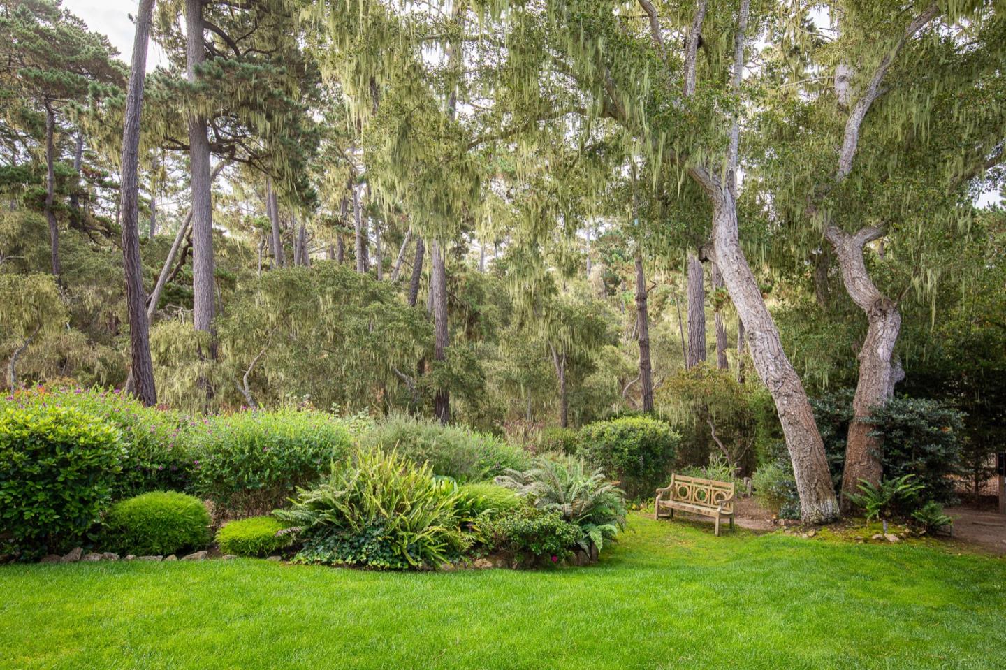 3115 Middle Ranch Road Pebble Beach, CA 93953 - Photo 14 of 19 a view of garden with trees