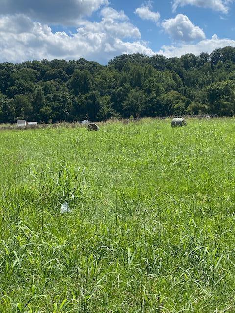 5442 West River Road Salem, VA 24153 - Photo 2 of 3 west river photo 2