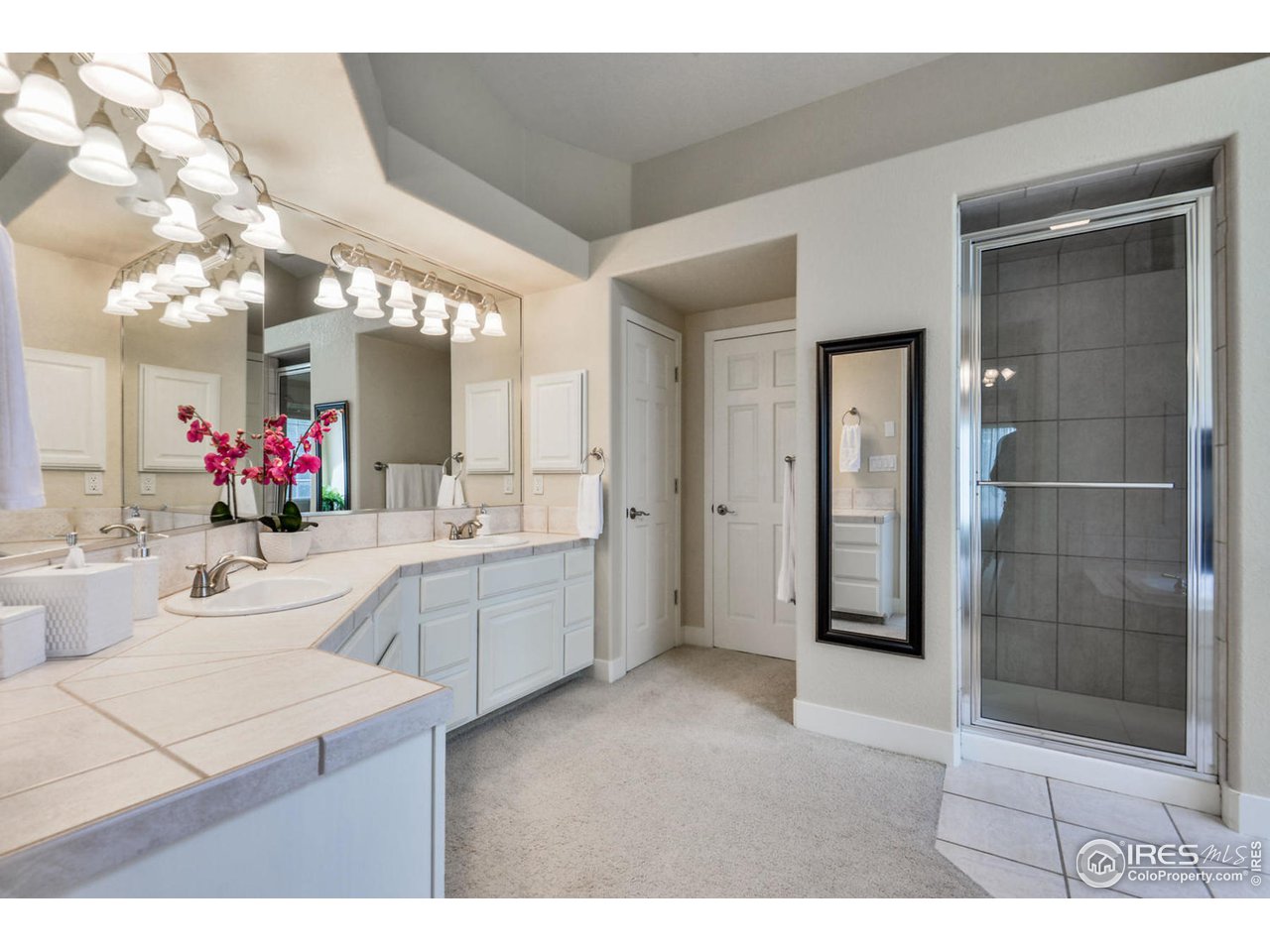 6236 Rookery Road Fort Collins, CO 80528 - Photo 20 of 40 Master Bathroom
