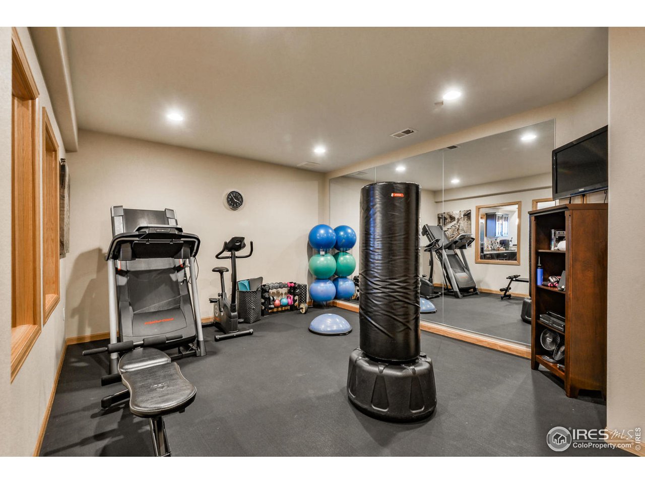 6236 Rookery Road Fort Collins, CO 80528 - Photo 29 of 40 Basement Exercise Room