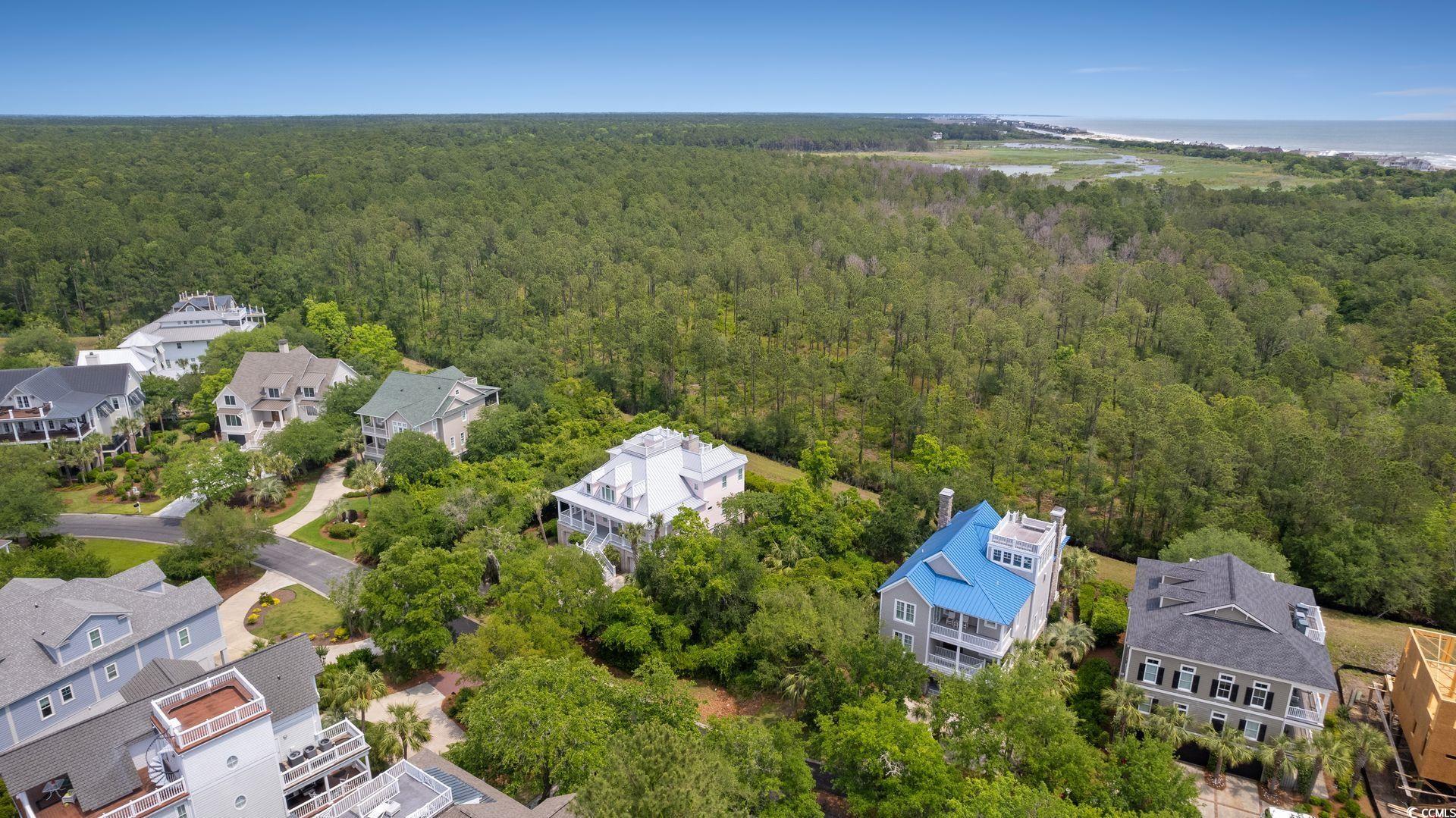 Lot 29 Ballyhoo Street Georgetown, SC 29440 - Photo 8 of 19 Gallery Image 8