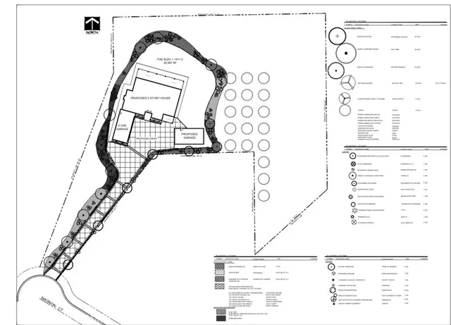 a black and white photo of a black and white photo