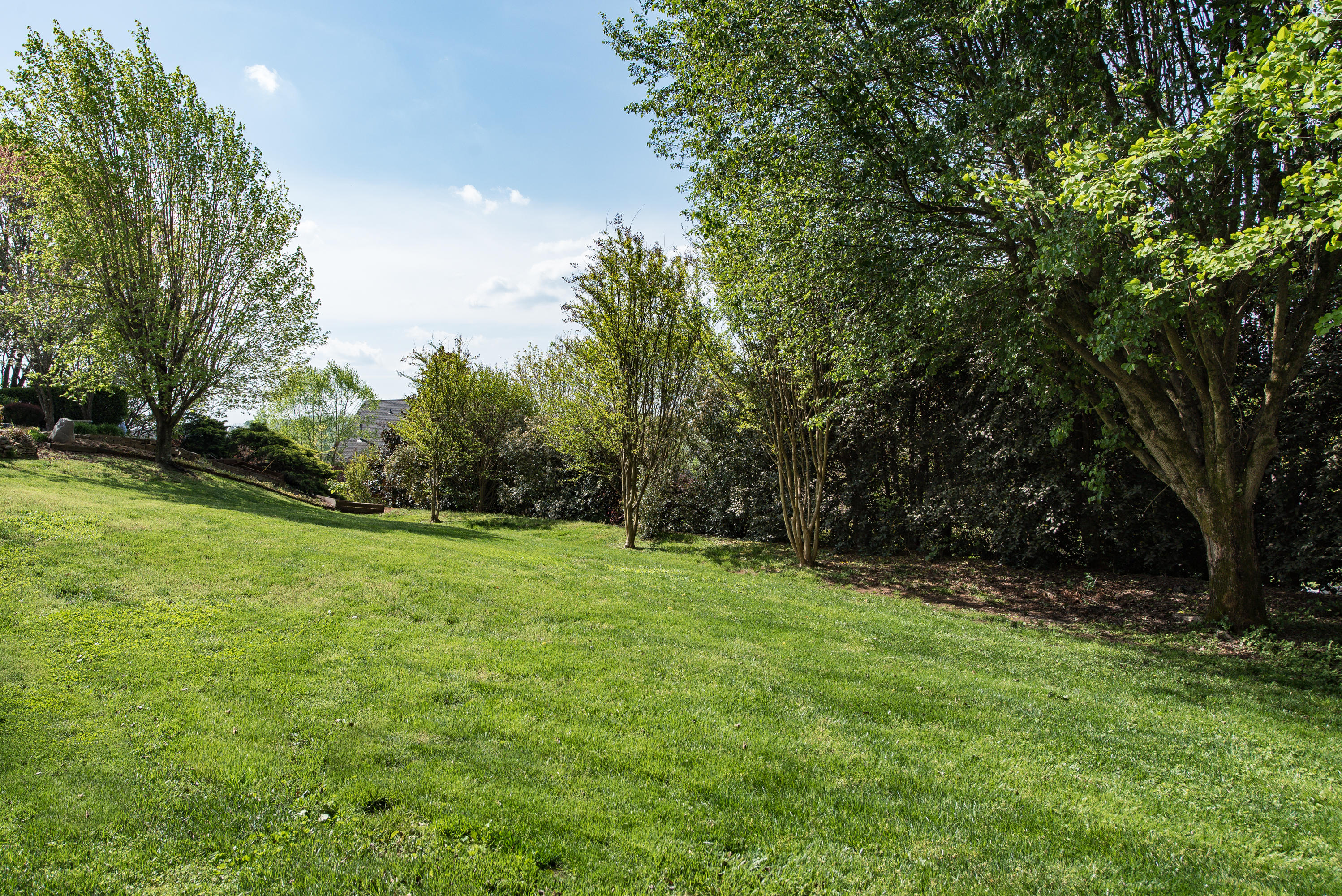313 Windham Hill Road Knoxville, TN 37934 - Photo 5 of 37 313 Windham Hill-5