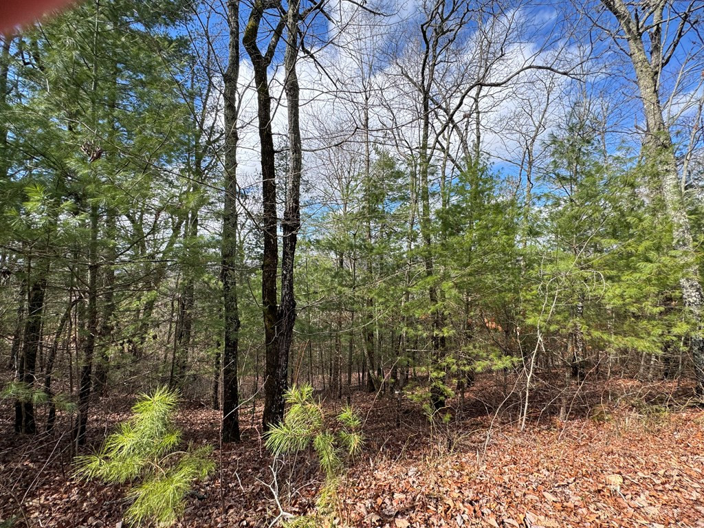 22-24 Rye Field Road Murphy, NC 28906 - Photo 23 of 26
