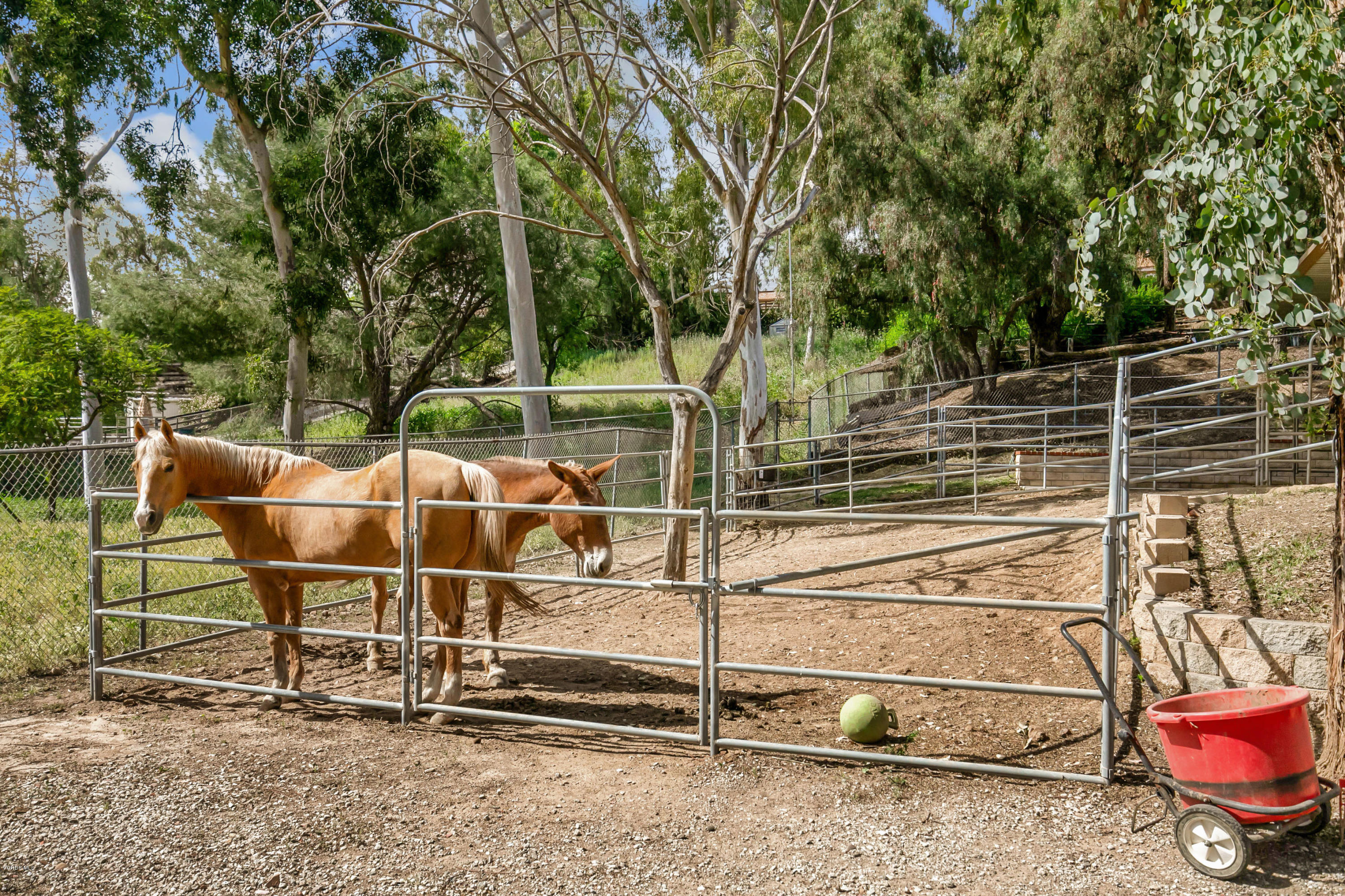 1291 Rambling Road Simi Valley, CA 93065 - Photo 44 of 75 a backyard of a house with lots of green space