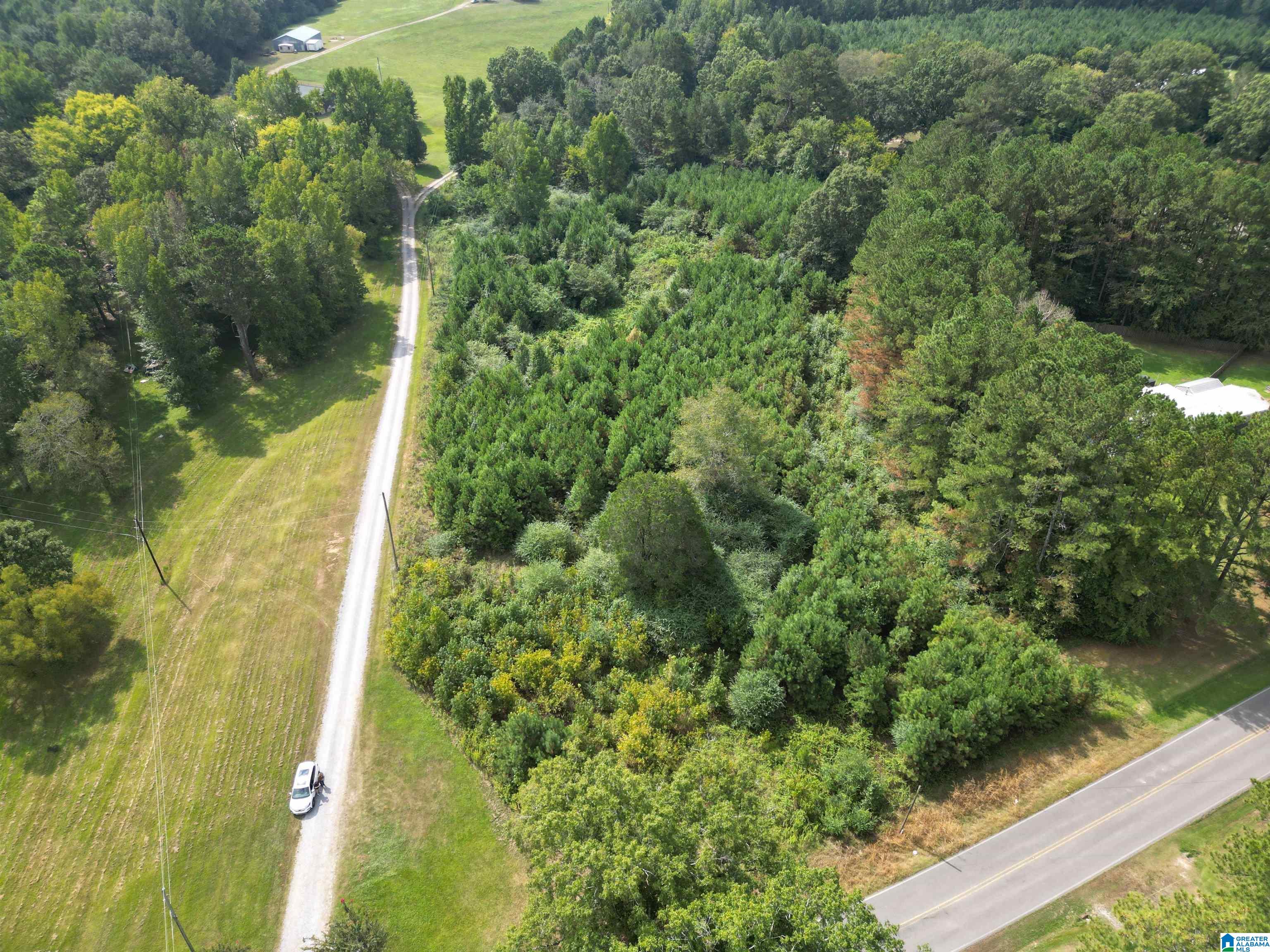 2941 County Line Drive, Unit 1 Trafford, AL 35172 - Photo 3 of 15