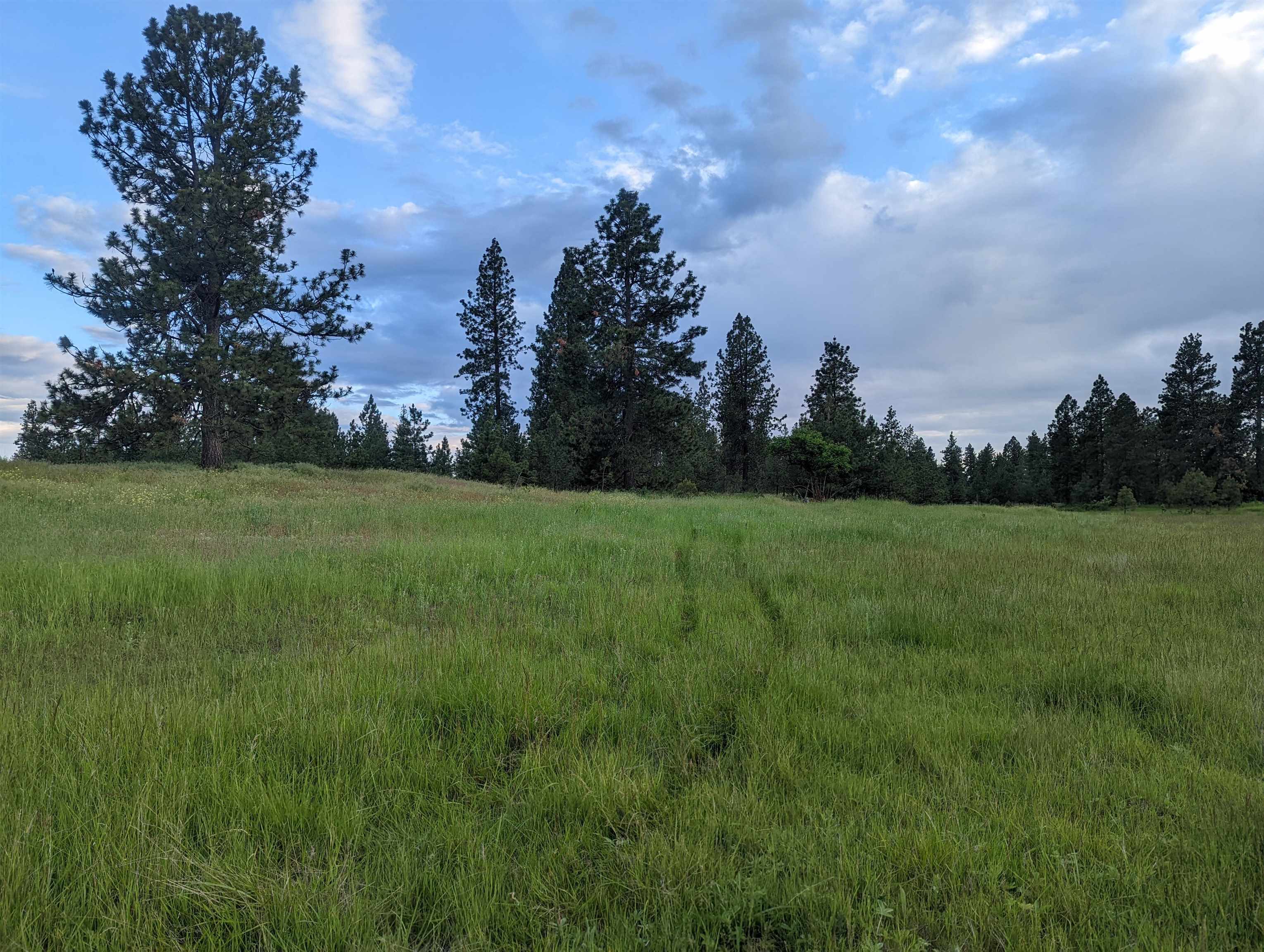 Xx West Salnave Road Cheney, WA 99004 - Photo 25 of 26 Gallery Image 25