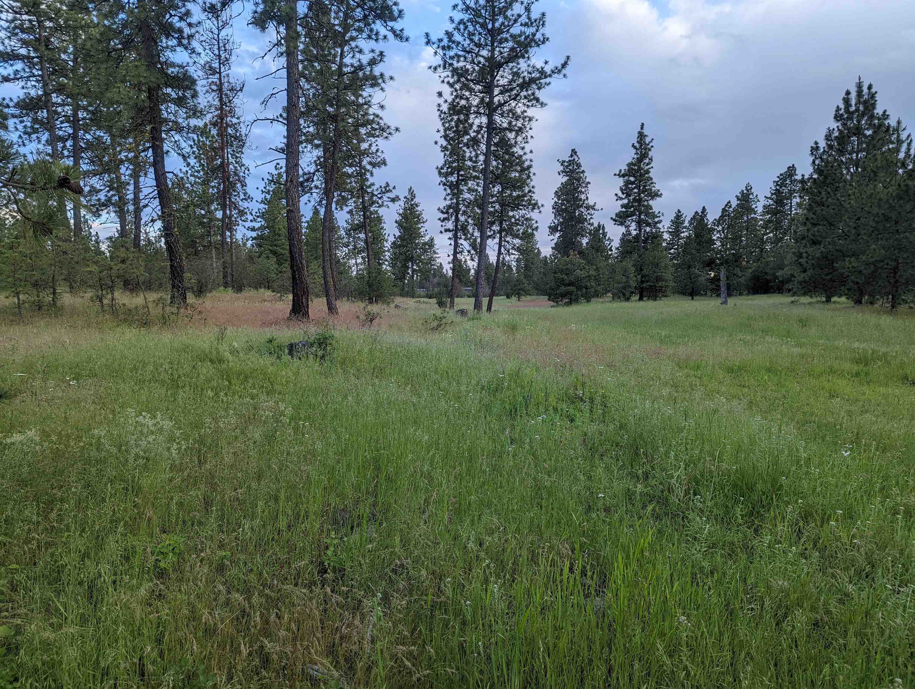 Xx West Salnave Road Cheney, WA 99004 - Photo 3 of 26 Gallery Image 3