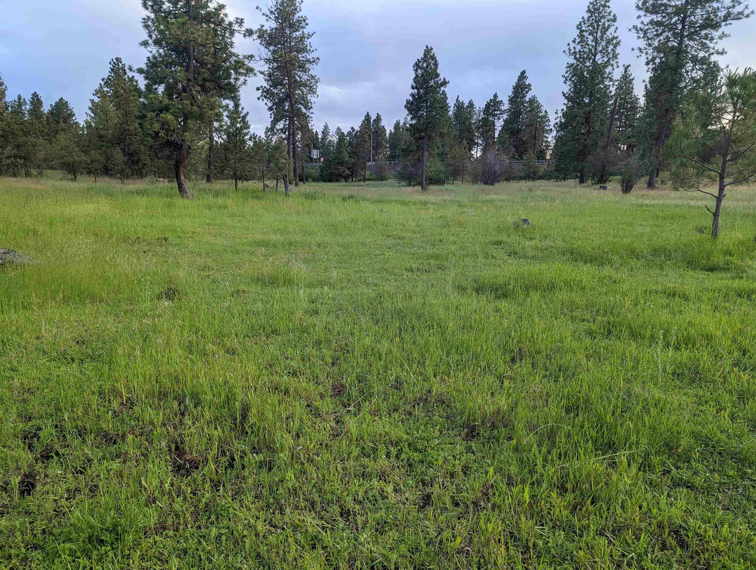 Xx West Salnave Road Cheney, WA 99004 - Photo 5 of 26 Gallery Image 5