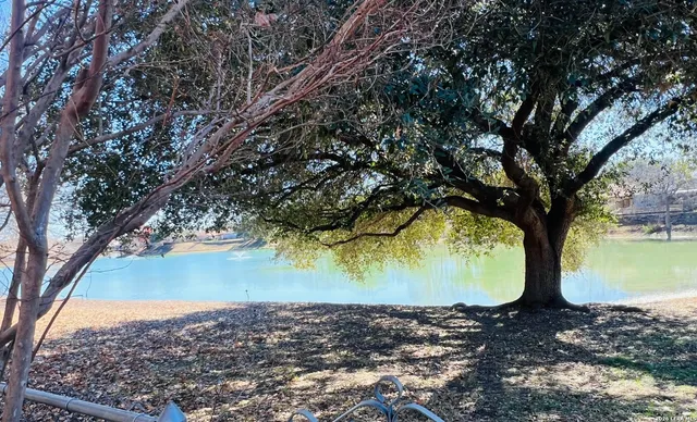 a view of a yard with a yard