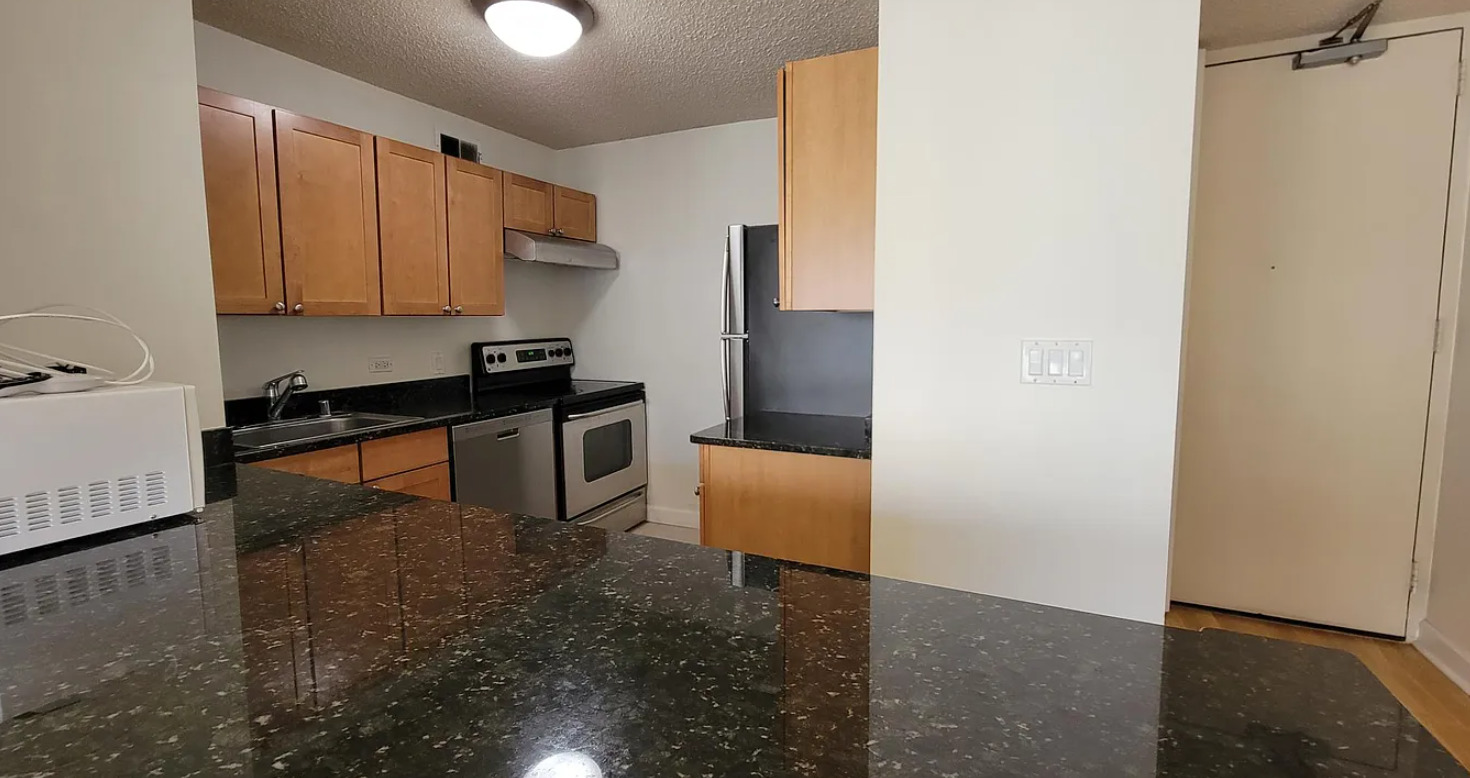 30 East Huron Street, Unit 1908 Chicago, IL 60611 - Photo 4 of 28