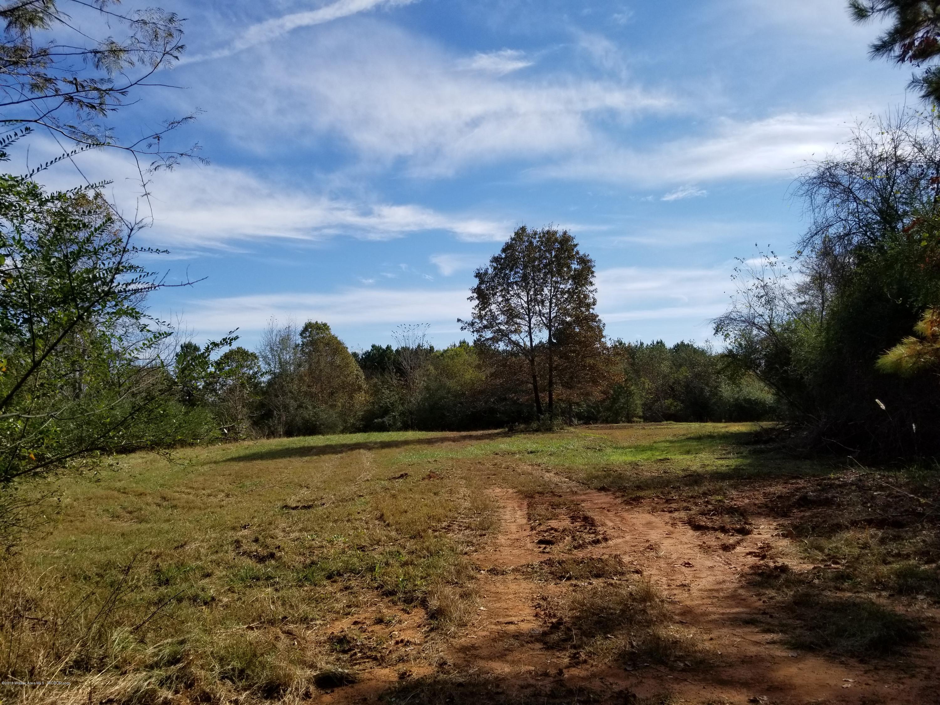 Blackwood Road Oakman, AL 35579 - Photo 5 of 21 Gallery Image 5