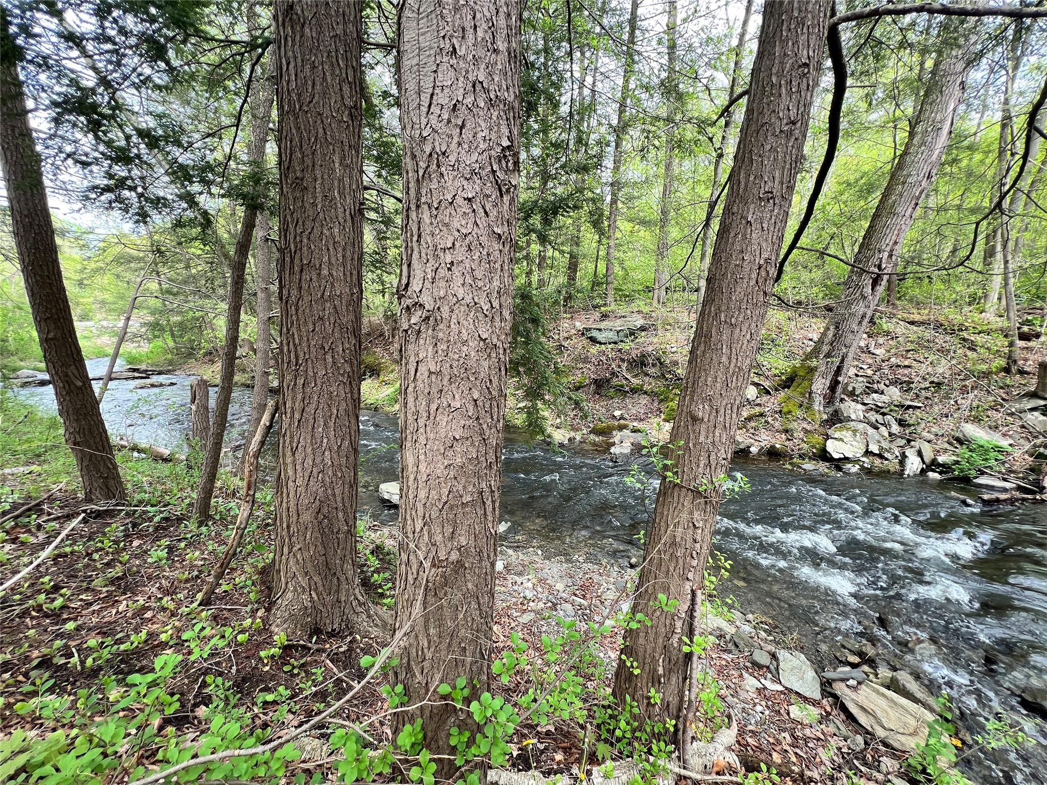 Cooperstown Road Dover Plains, NY 12522 - Photo 1 of 1 View of local wilderness