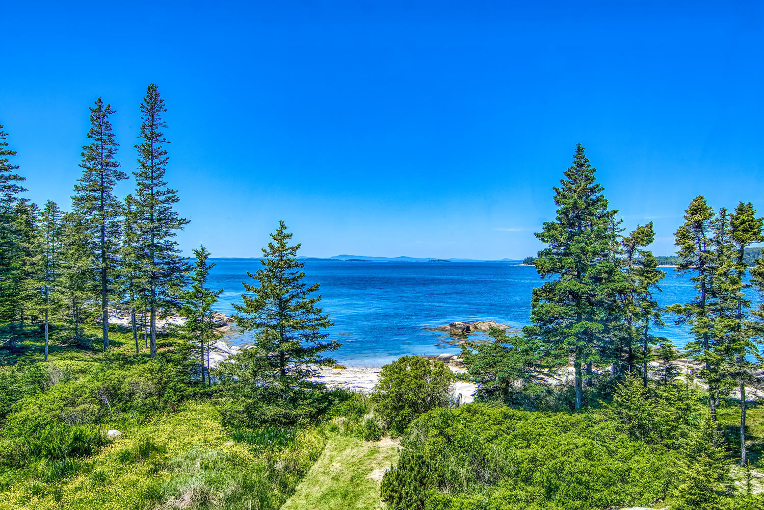 161 Fifield Point Road Stonington, ME 04681 - Photo 48 of 89 161 Fifield Point Road-large-046-077-Lou