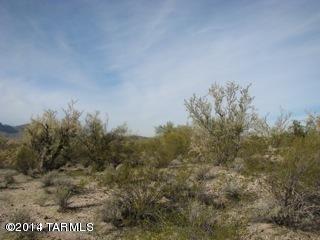 9741 North Blue Bonnet Road Tucson, AZ 85742 - Photo 9 of 46 Gallery Image 9