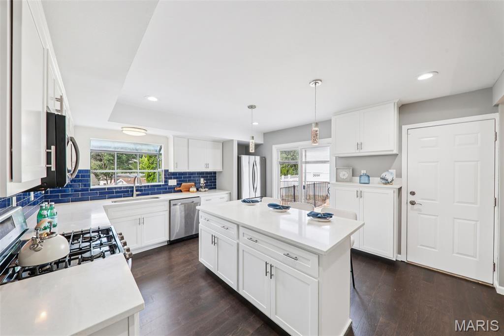 1237 Cedar Creek Road Chesterfield, MO 63017 - Photo 22 of 53