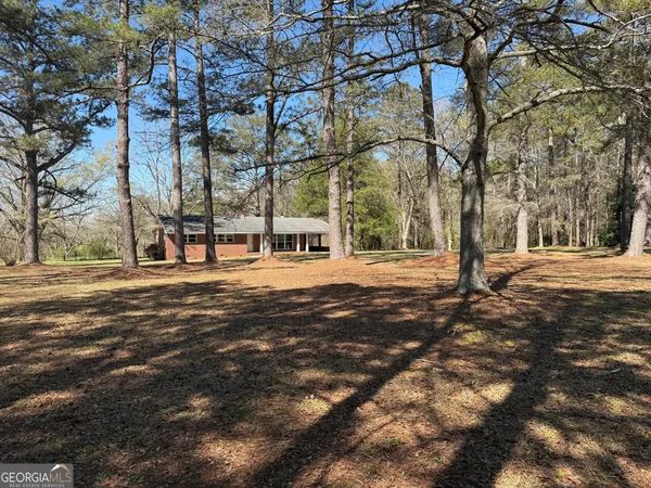 a park view with large trees