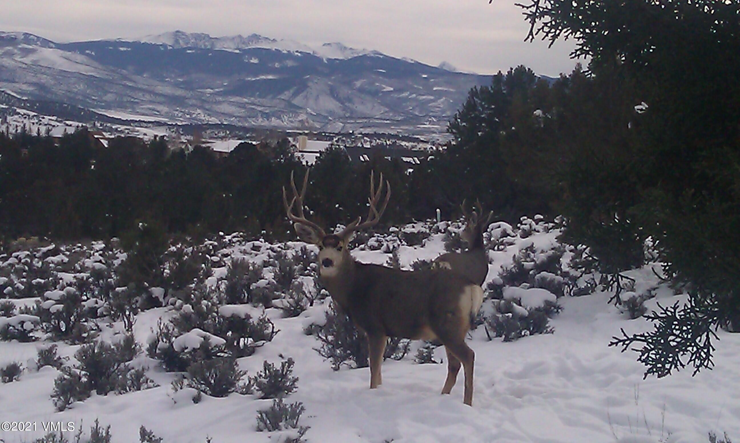 616 Neilson Gulch Road Eagle, CO 81631 - Photo 53 of 59 IMAG0193