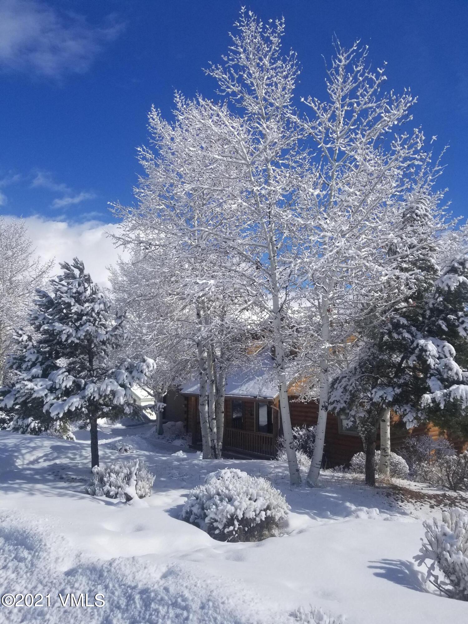 616 Neilson Gulch Road Eagle, CO 81631 - Photo 56 of 59 20190309_095355