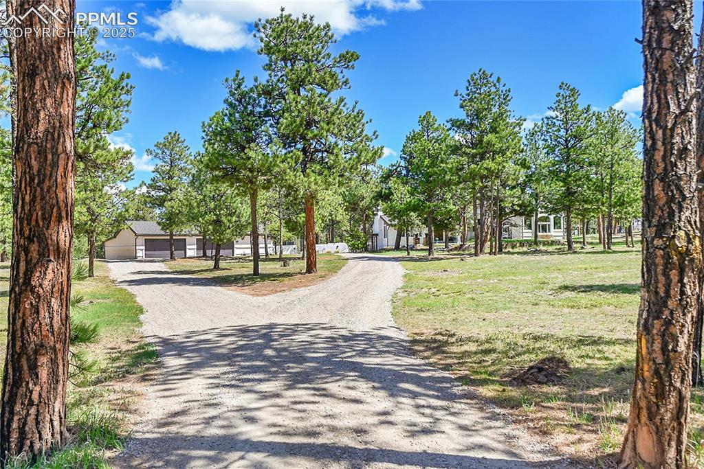 17350 Goshawk Road Colorado Springs, CO 80908 - Photo 46 of 50 a view of road with trees