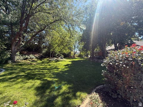 340 Willow Ridge Circle Centerville, UT 84014 - Photo 31 of 32 Expansive lawn with mature trees and established perimeter plantings