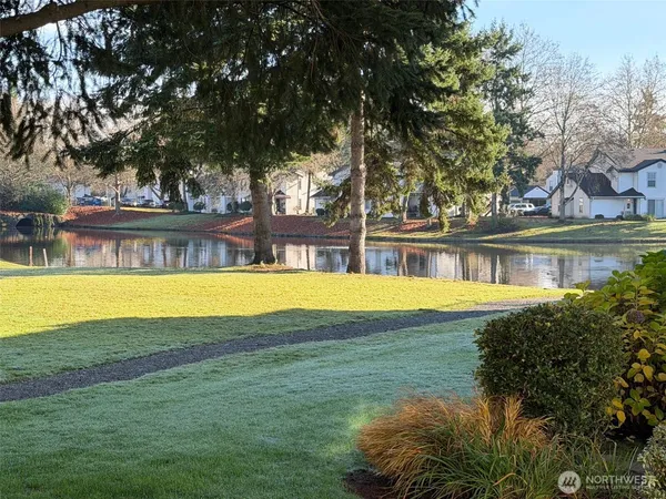 a view of swimming pool with lawn chairs and large trees