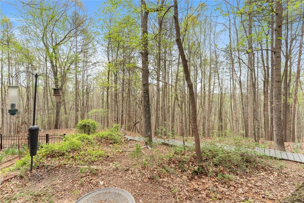 353 Riverwood Road Lula, GA 30554 - Photo 52 of 79