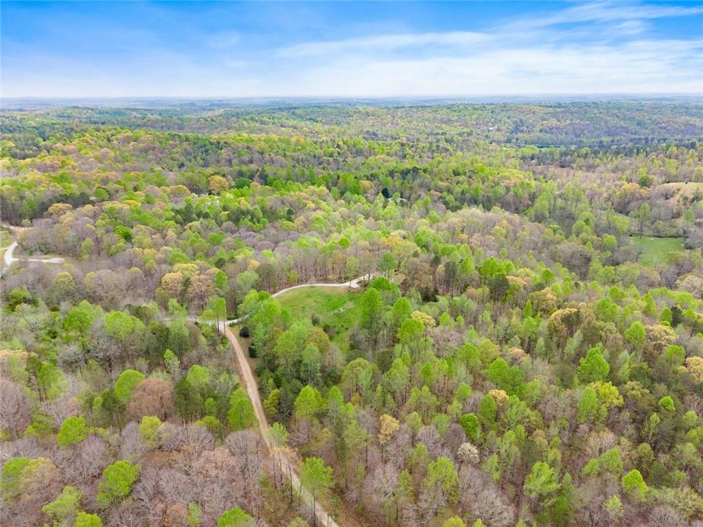 353 Riverwood Road Lula, GA 30554 - Photo 65 of 79