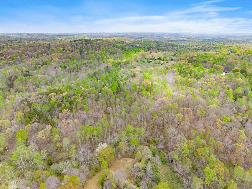 353 Riverwood Road Lula, GA 30554 - Photo 68 of 79