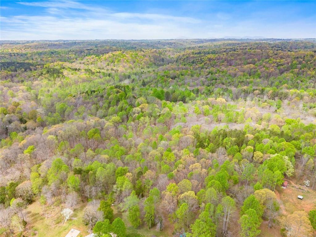 353 Riverwood Road Lula, GA 30554 - Photo 69 of 79