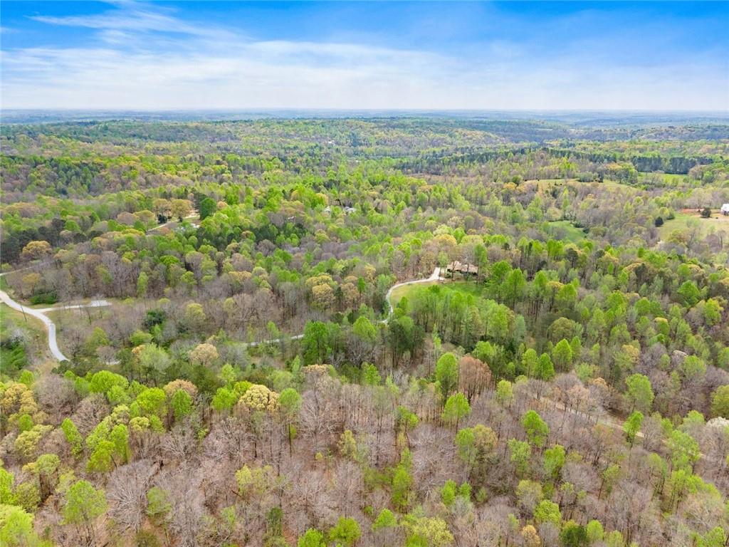 353 Riverwood Road Lula, GA 30554 - Photo 71 of 79