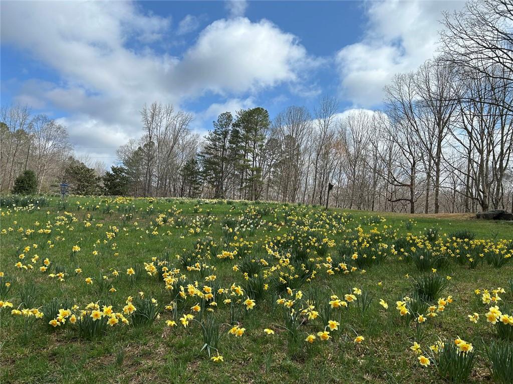 353 Riverwood Road Lula, GA 30554 - Photo 74 of 79