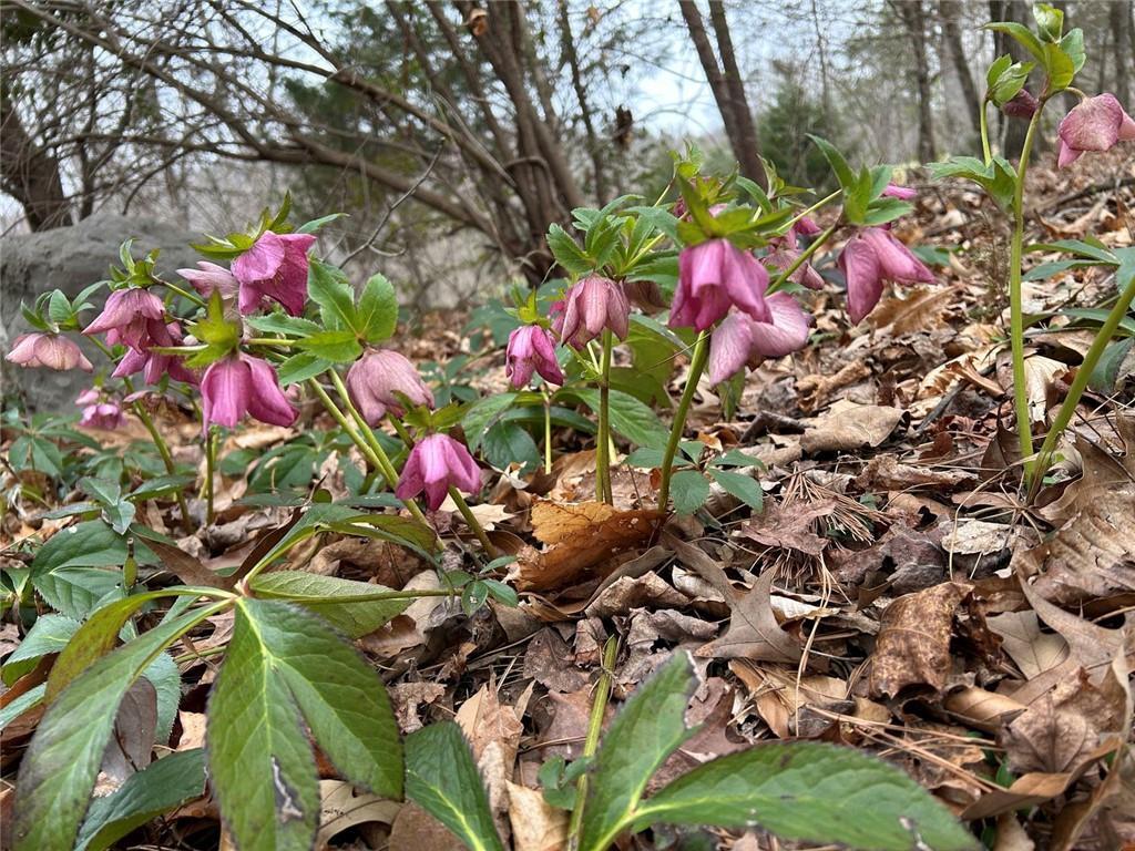 353 Riverwood Road Lula, GA 30554 - Photo 76 of 79