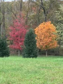 $649,900 | 353 Riverwood Road, Lula, GA 30554