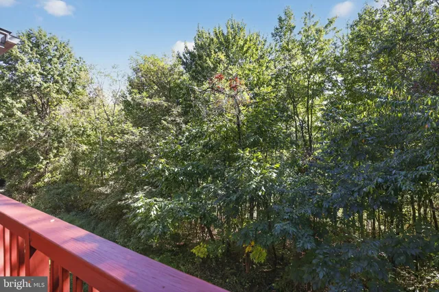 a view of a yard from a bench