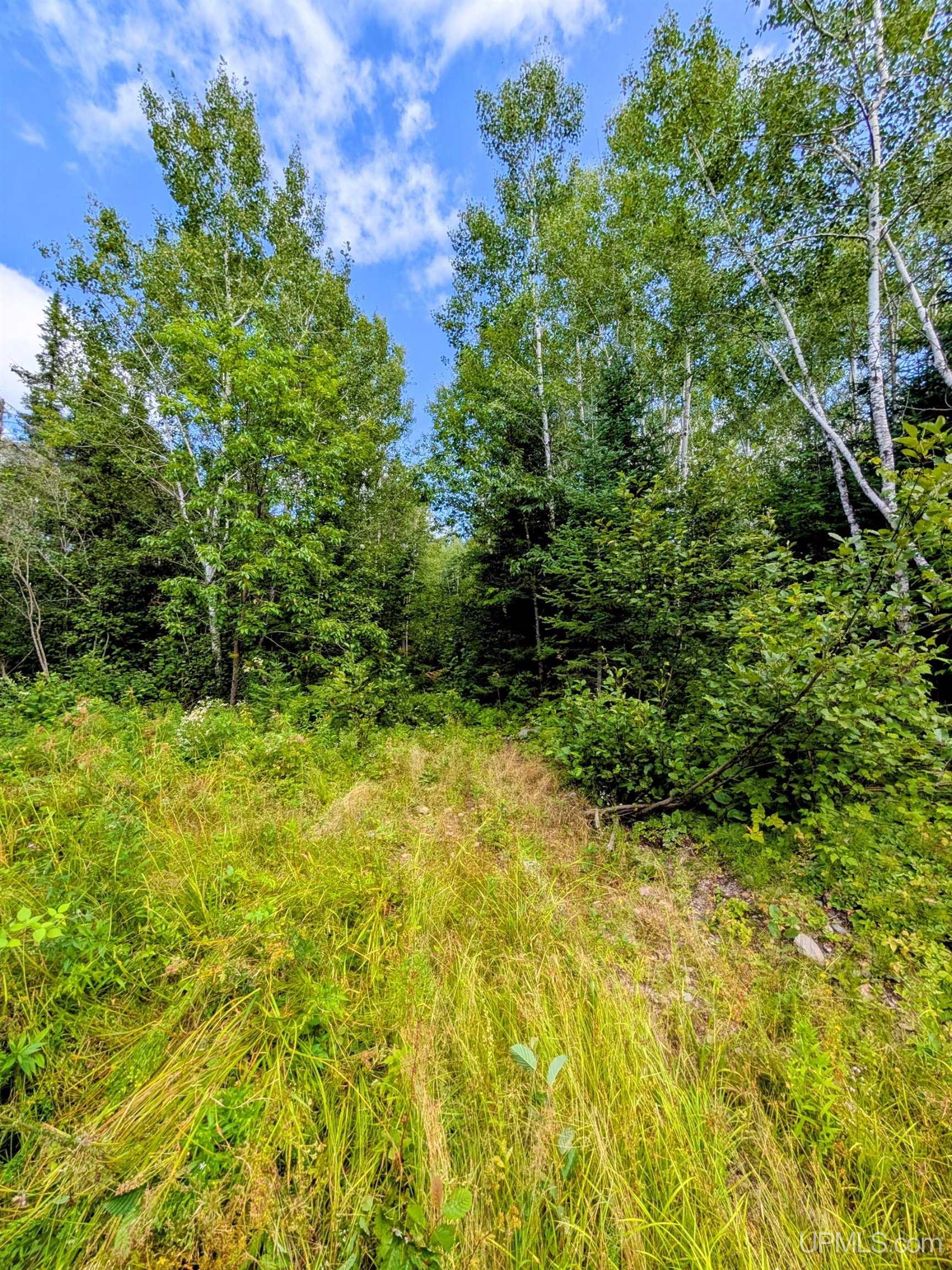 33-acres Off Net River Road Crystal Falls, MI 49920 - Photo 5 of 22