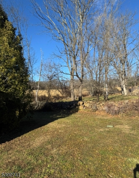 6 Maple Lane Hampton, NJ 08827 - Photo 12 of 13 a view of yard with green space