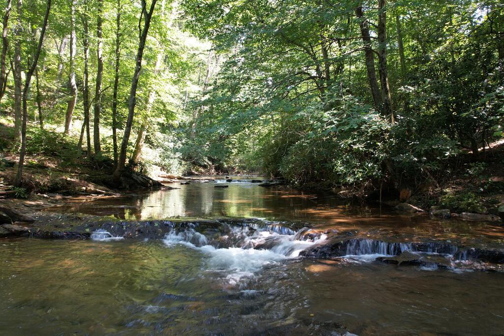 Tbd Baltimore Road Hillsville, VA 24343 - Photo 49 of 50 Gallery Image 49