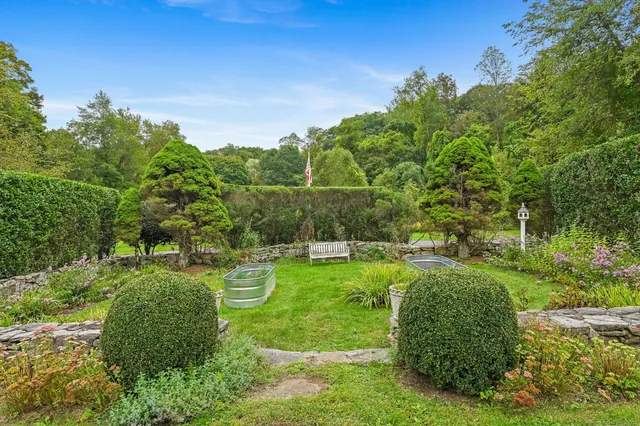 a view of a park with large trees