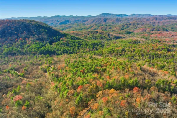 a view of a lot of trees and mountains