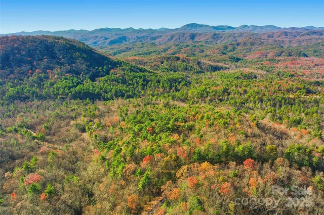 a view of a lot of trees and mountains