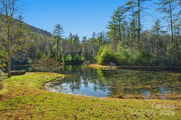 a view of a lake from a yard