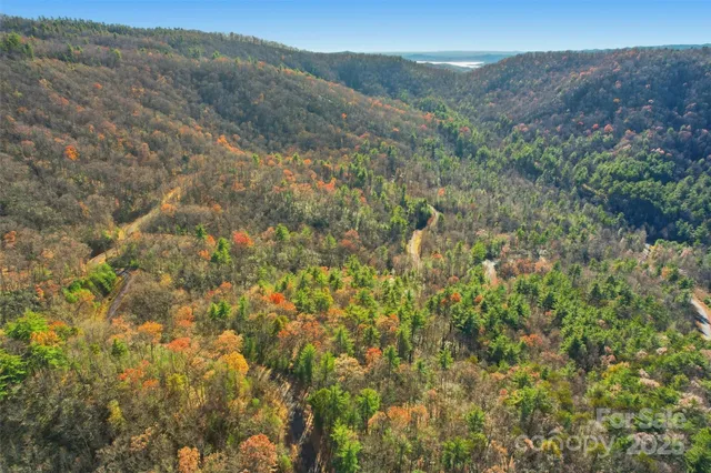 a view of a forest with mountains in the background