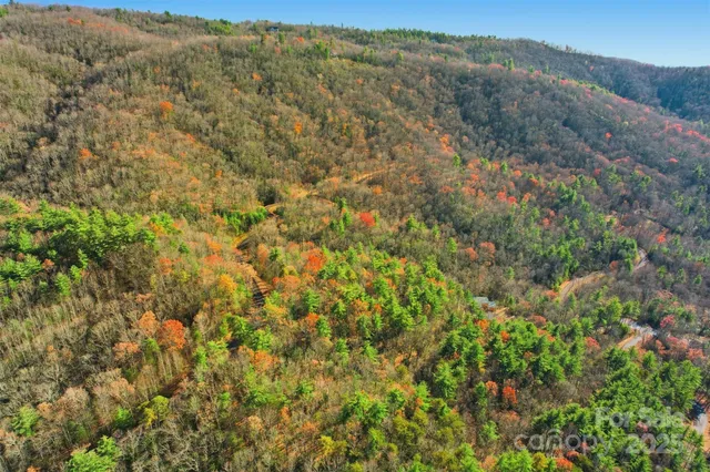 a view of a field with a tree