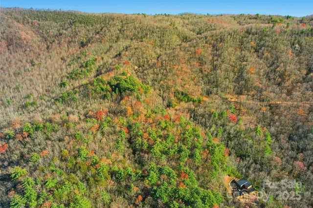 a view of a field with a tree in the background