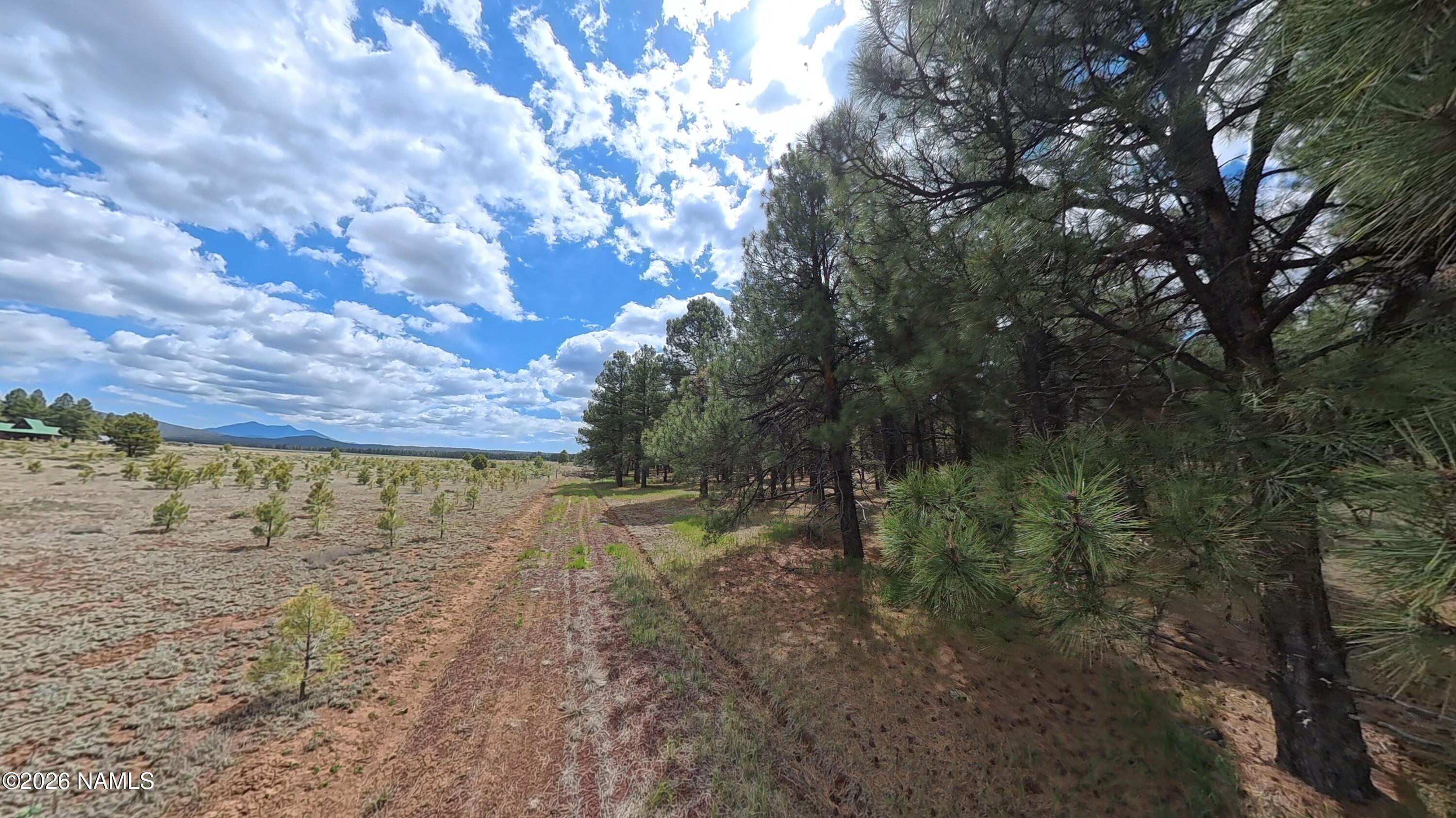 12565 Camp Kimball Road Parks, AZ 86005 - Photo 14 of 60 VID_20260501_104738_00_193_2026-05-04_11