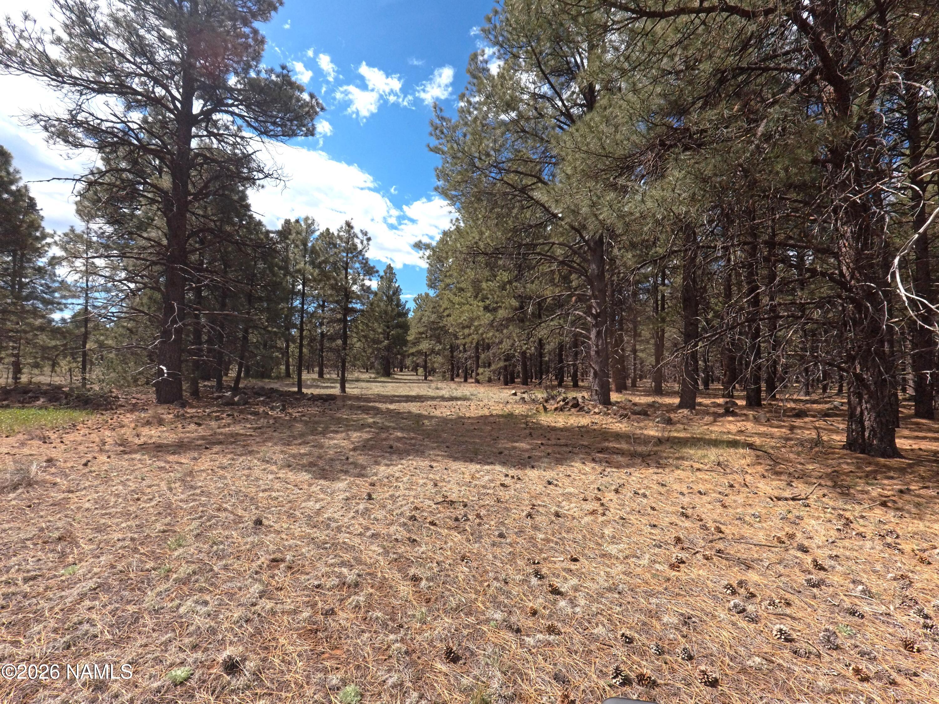 12565 Camp Kimball Road Parks, AZ 86005 - Photo 21 of 60 IMG_20260501_100450_253